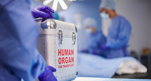 Donazione Organi in Italia: Il Divario tra Consenso e Realt